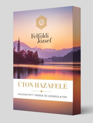 Felföldi József - Úton hazafelé - könyvboritó design látvány