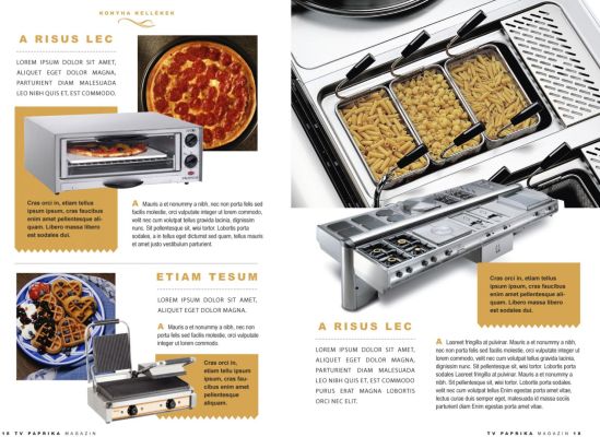 Paprika Magazin - layout design