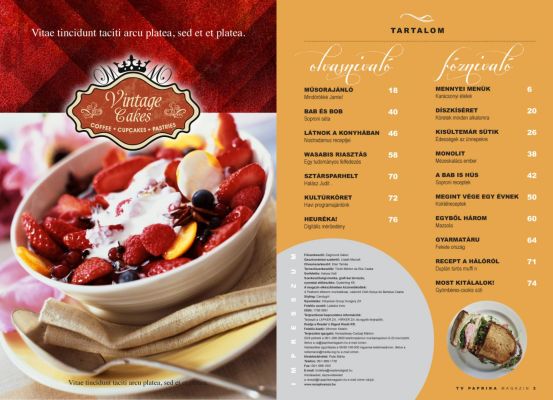 Paprika Magazin - layout design