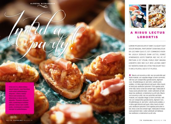 Paprika Magazin - layout design