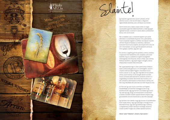 Whiskynet - prospektus belív design 